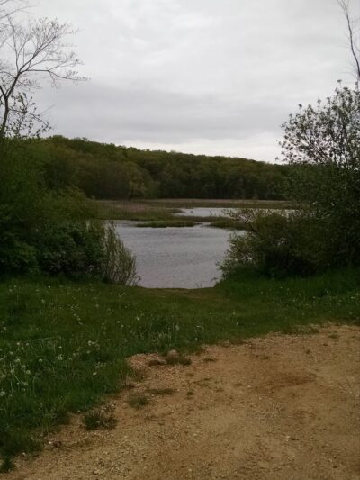 Dog Training Area - Cascade, WI