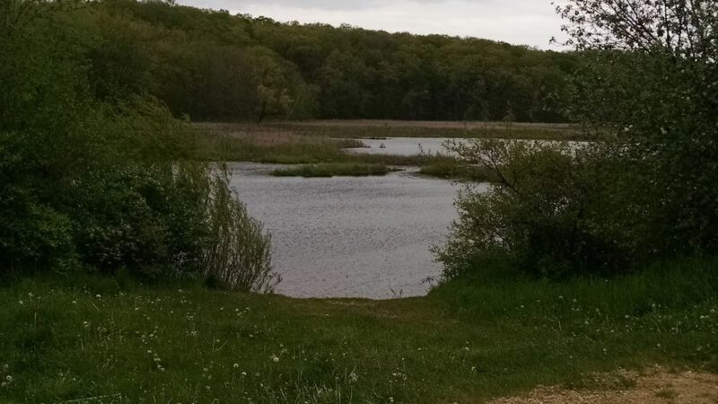 Dog Training Area - Cascade, WI