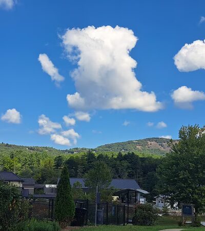 Cashiers Dog Park - Cashiers, NC