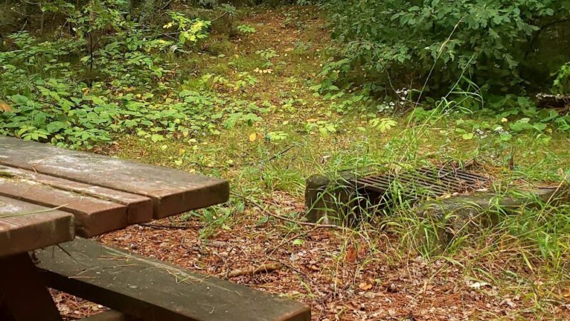 Wanaki Campground - Cass Lake, MN