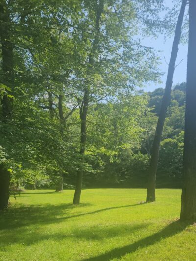 Derby Park - Cassandra, PA