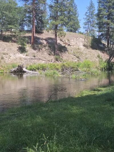 Hat Creek Park - Cassel, CA