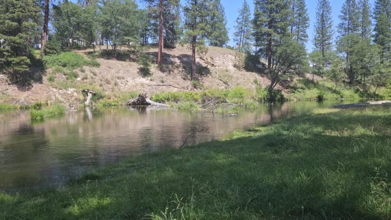 Hat Creek Park - Cassel, CA