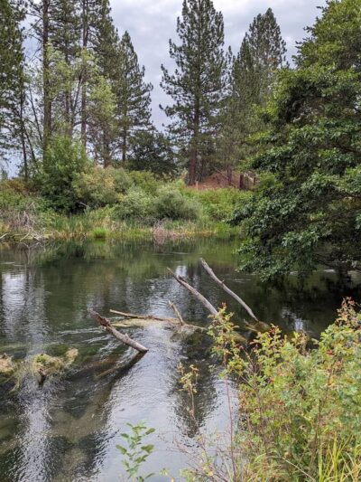 Hat Creek Park - Cassel, CA