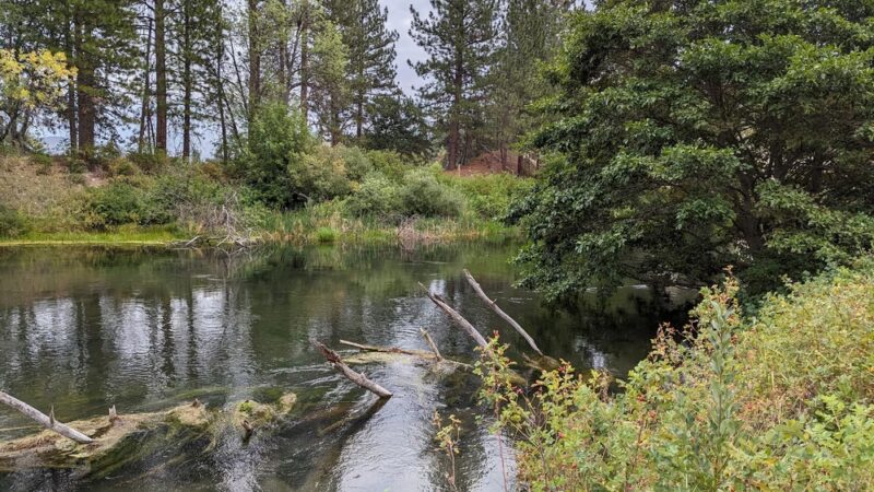 Hat Creek Park - Cassel, CA