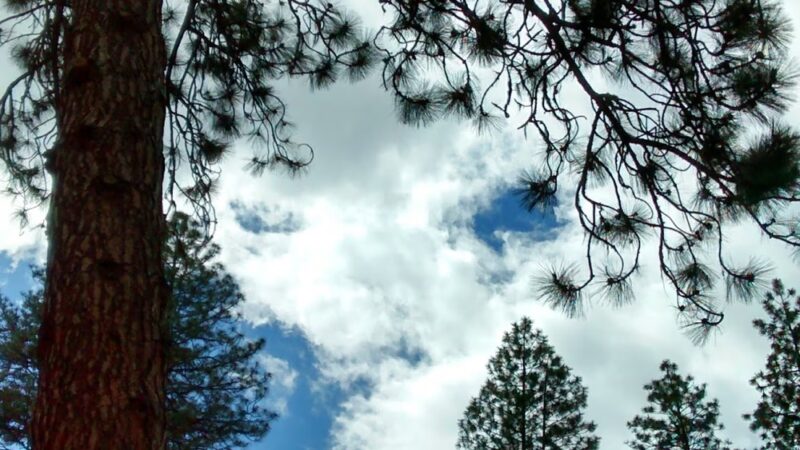 Hat Creek Park - Cassel, CA