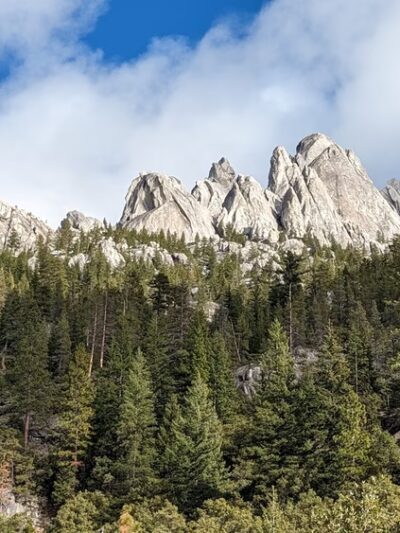 Dog Trailhead - Castella, CA