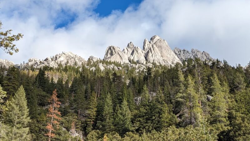 Dog Trailhead - Castella, CA