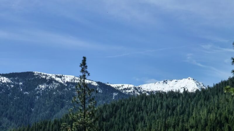 Dog Trailhead - Castella, CA