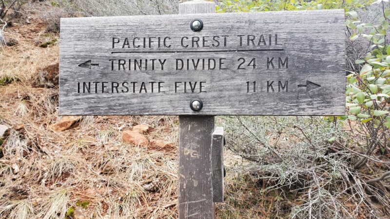 Dog Trailhead - Castella, CA