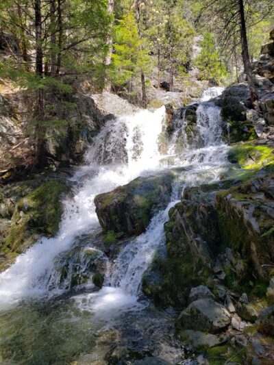 Dog Trailhead - Castella, CA