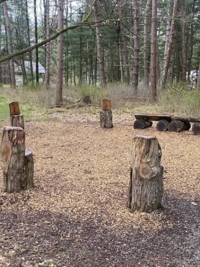 Autism Nature Trail - Castile, NY