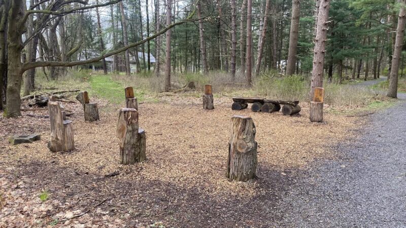 Autism Nature Trail - Castile, NY