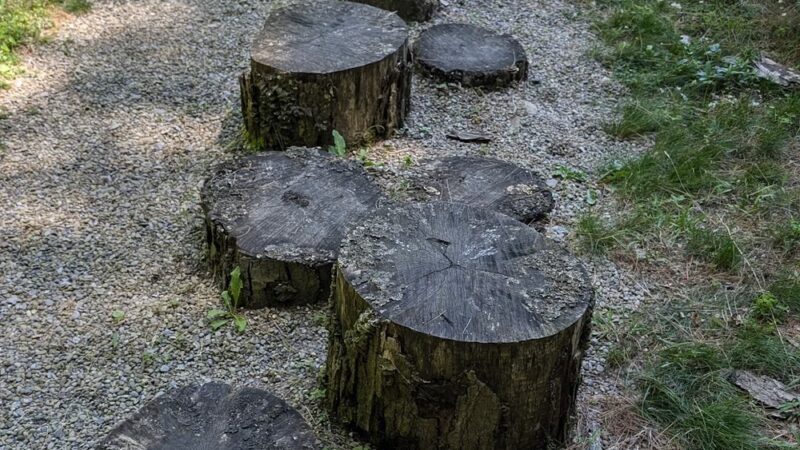 Autism Nature Trail - Castile, NY