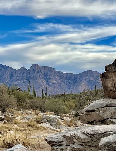 Honeybee Canyon Loop - Catalina, AZ