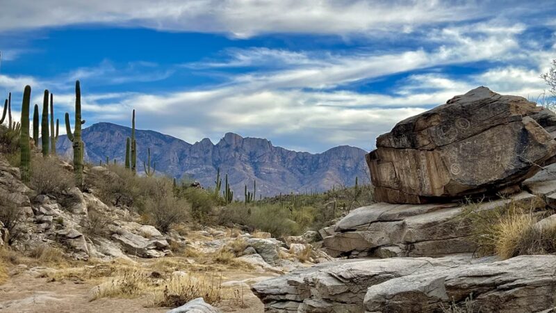 Honeybee Canyon Loop - Catalina, AZ
