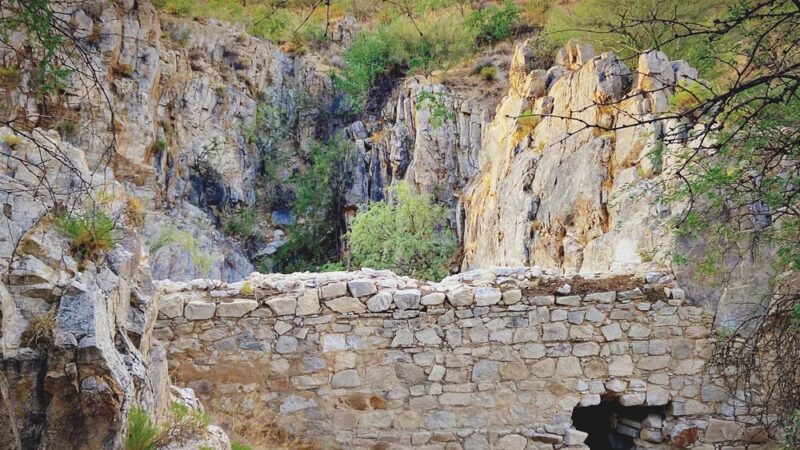 Honeybee Canyon Loop - Catalina, AZ