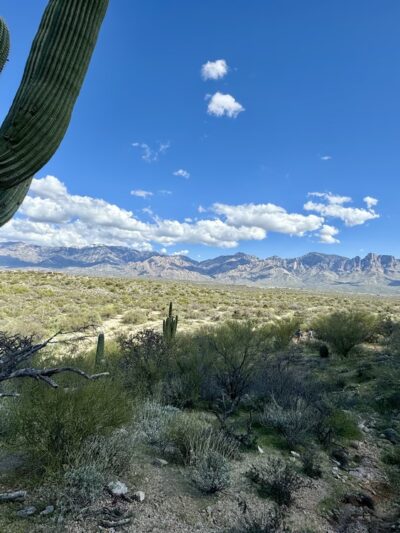 Honeybee Canyon Loop - Catalina, AZ