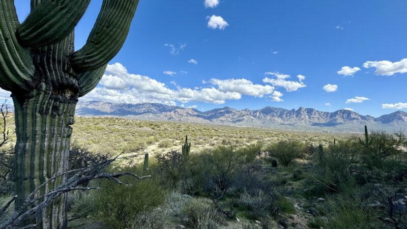 Honeybee Canyon Loop - Catalina, AZ