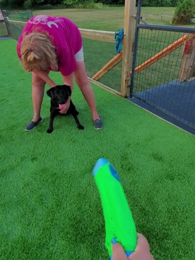 Over Rover Training Center - Cato, NY