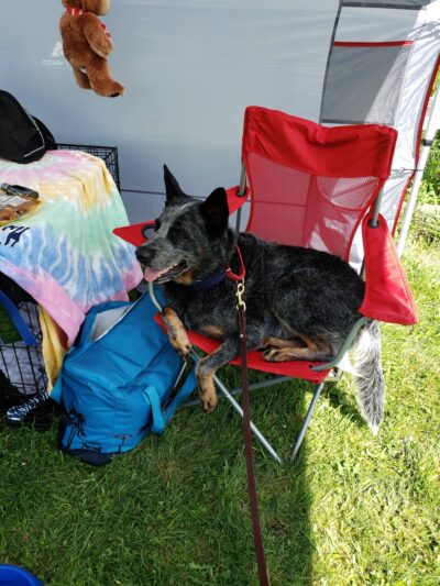 Over Rover Training Center - Cato, NY