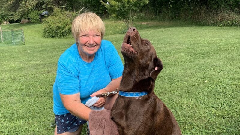 Over Rover Training Center - Cato, NY