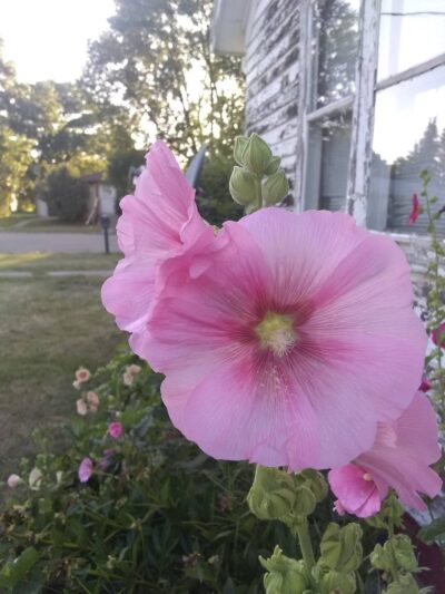 Cavalier City Park - Cavalier, ND