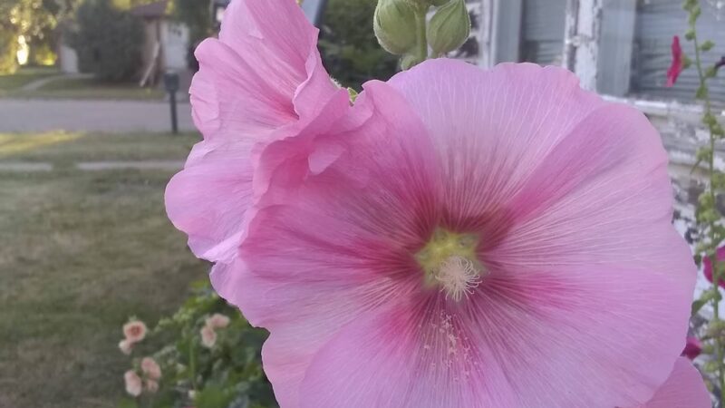 Cavalier City Park - Cavalier, ND
