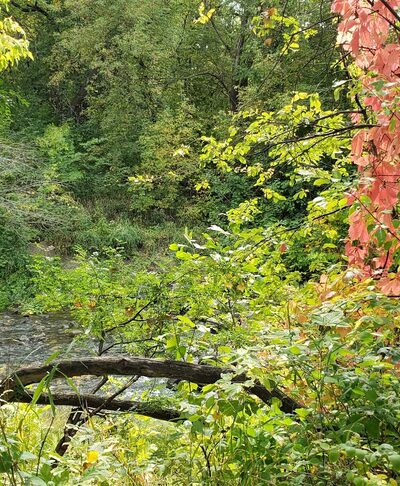 Cavalier City Park - Cavalier, ND