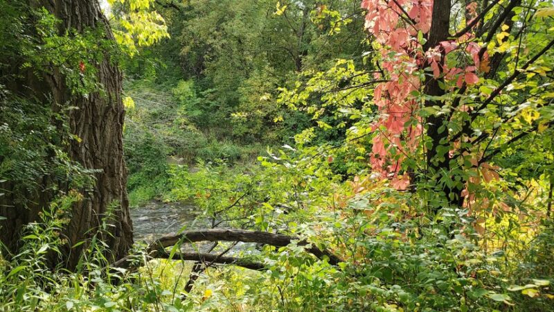 Cavalier City Park - Cavalier, ND