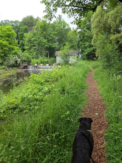 Cazenovia Preservation Foundation Willow Patch Trail - Cazenovia, NY
