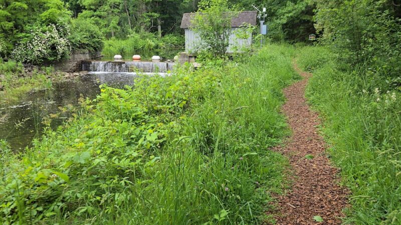 Cazenovia Preservation Foundation Willow Patch Trail - Cazenovia, NY