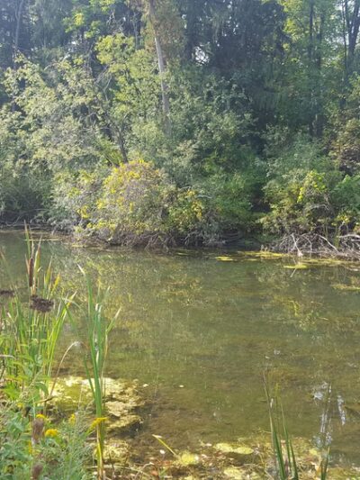 Cazenovia Preservation Foundation Willow Patch Trail - Cazenovia, NY