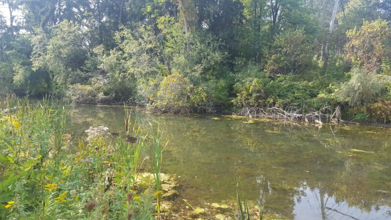 Cazenovia Preservation Foundation Willow Patch Trail - Cazenovia, NY