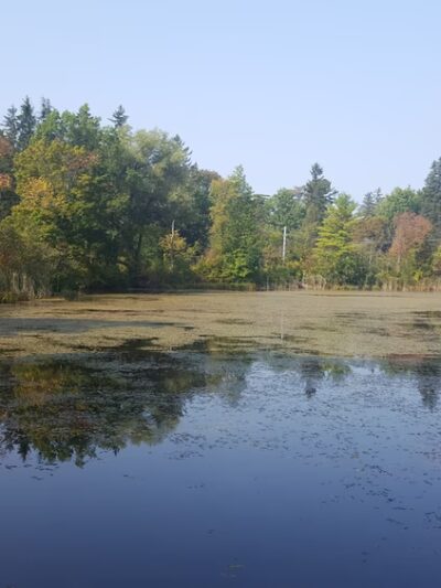 Cazenovia Preservation Foundation Willow Patch Trail - Cazenovia, NY