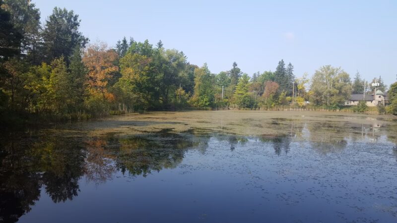Cazenovia Preservation Foundation Willow Patch Trail - Cazenovia, NY