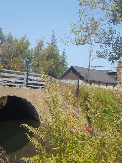 Cazenovia Preservation Foundation Willow Patch Trail - Cazenovia, NY