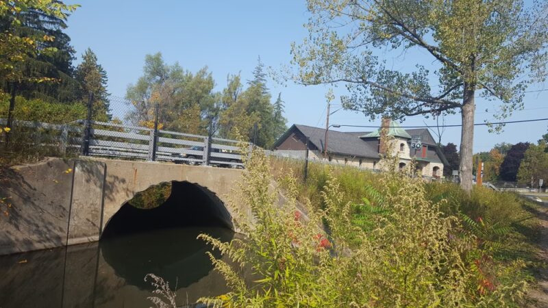Cazenovia Preservation Foundation Willow Patch Trail - Cazenovia, NY