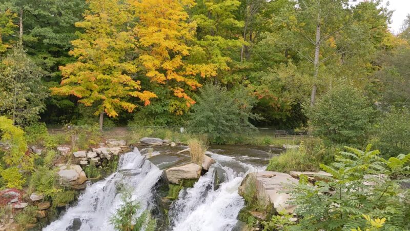 Chittenango Falls State Park - Cazenovia, NY