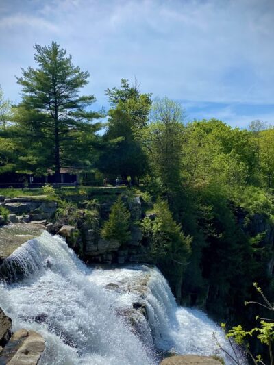 Chittenango Falls State Park - Cazenovia, NY