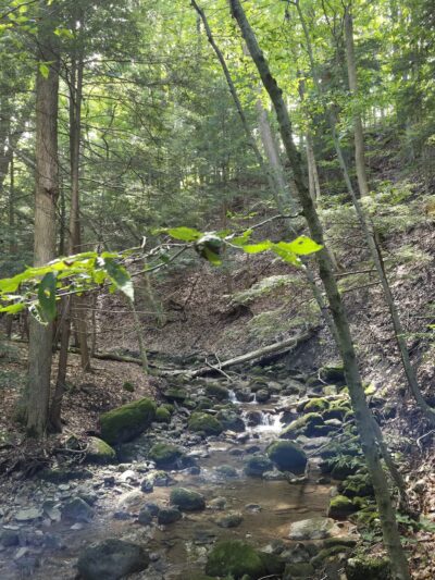 Gorge Trail Parking Area - Cazenovia, NY