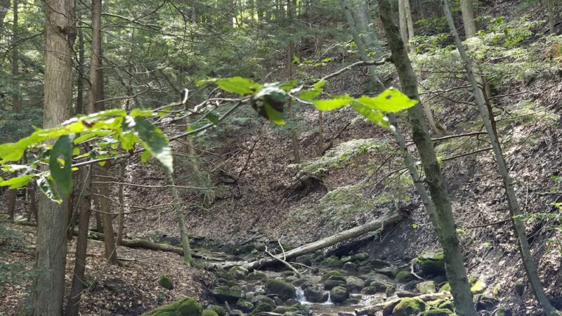 Gorge Trail Parking Area - Cazenovia, NY
