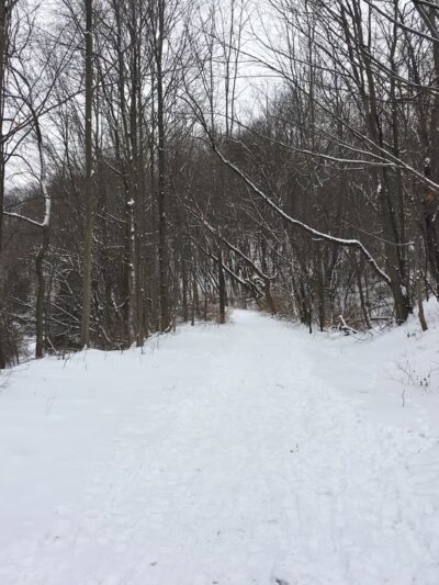 Gorge Trail Parking Area - Cazenovia, NY
