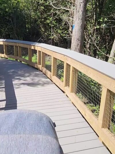 Nelson Swamp Unique Area - Cazenovia, NY