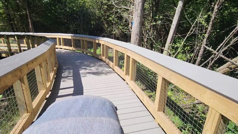 Nelson Swamp Unique Area - Cazenovia, NY