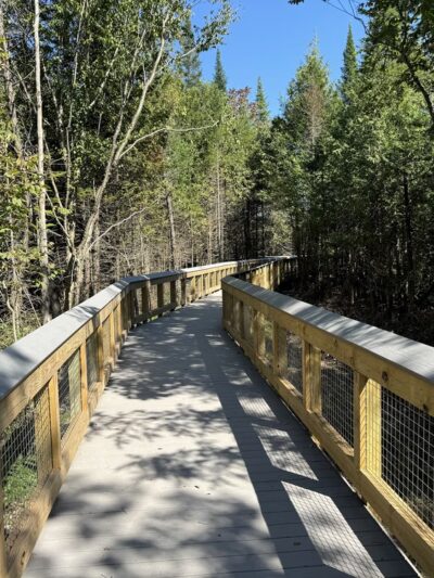 Nelson Swamp Unique Area - Cazenovia, NY