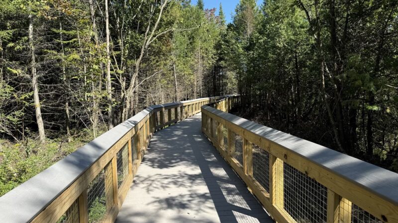 Nelson Swamp Unique Area - Cazenovia, NY