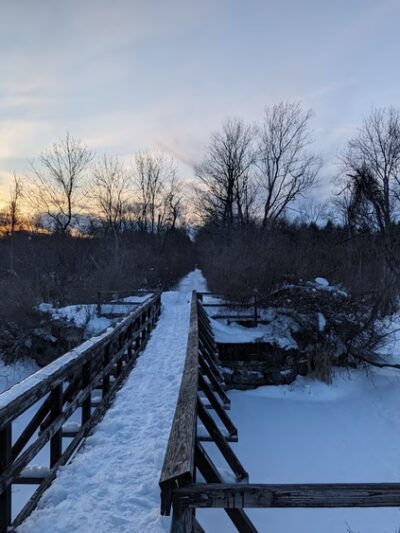 Nelson Swamp Unique Area - Cazenovia, NY