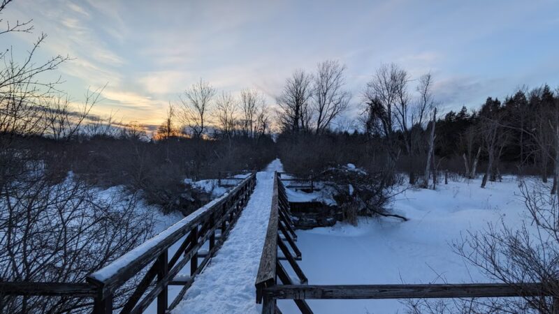 Nelson Swamp Unique Area - Cazenovia, NY