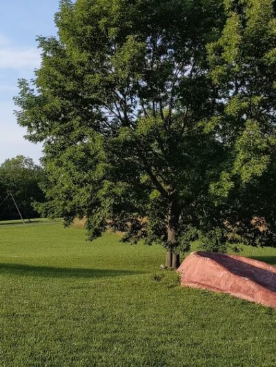 Stone Quarry Hill Art Park Inc - Cazenovia, NY